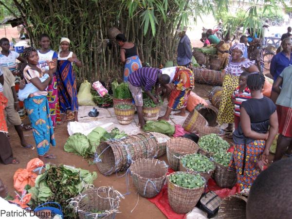 Vente de légumes sur un marché de brousse près d'Abidjan en Côte d'Ivoire. © Cirad, P. Dugué